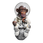 Carlos and Albert Carlos and Albert Astrochimp - Over The Moon